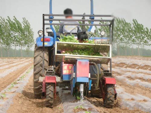 油菜移栽機