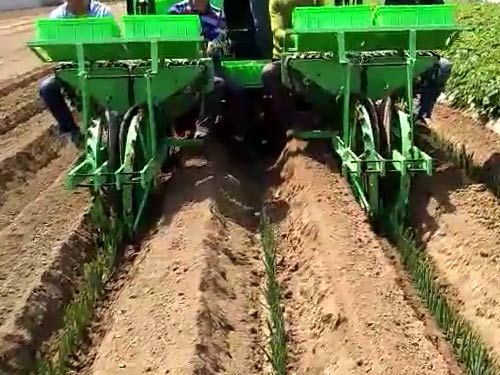 大蔥種植機